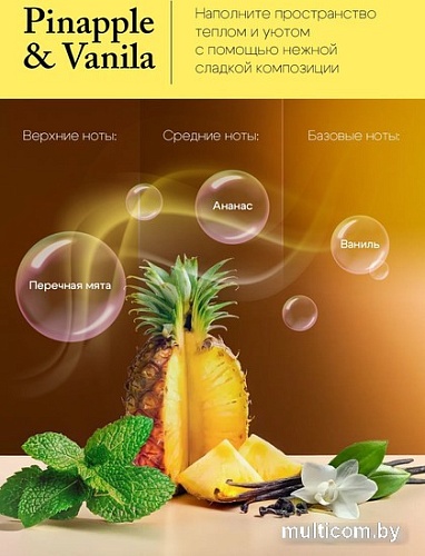 Аромадиффузор Solex Ананас и ваниль (50 мл)