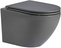 Унитаз WeltWasser Merzbach 041 MT-GR (серый матовый)