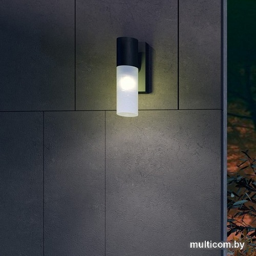 Уличный настенный светильник Novotech Mobi 370960