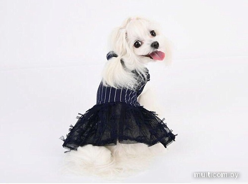 Куртка для животных Pinkaholic Vida NASA-OP7407-NY-S (синий)