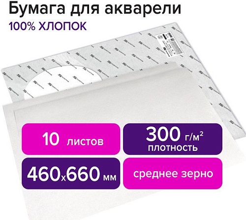 Набор бумаги для рисования BRAUBERG Art Premiere 113231 (10 л)