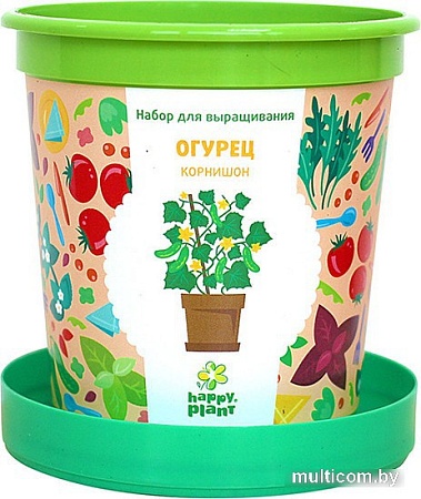 Набор для опытов Happy plant Огурец корнишон hpn-19