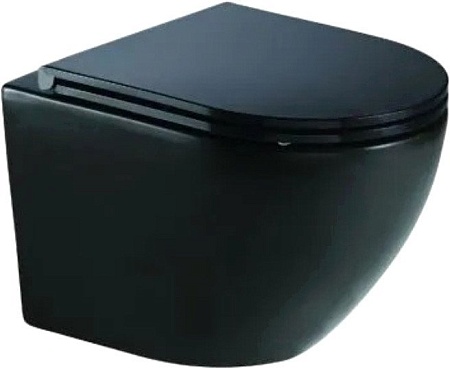 Унитаз WeltWasser Merzbach 043 MT-BL