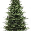 Ель Царь Елка Офелия 1.8 м