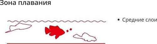 Сухой корм Sera Guppy Gran 10 г