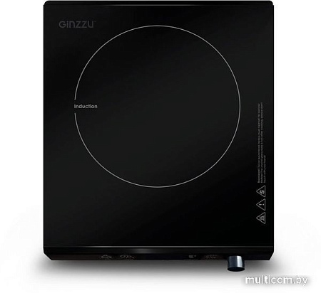 Настольная плита Ginzzu HCI-176
