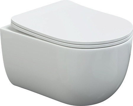 Унитаз подвесной Berges Wasserhaus Ventas Rimless + Visam Slim 525 EX-043237 (с сиденьем)