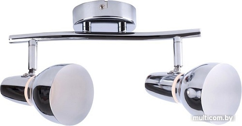 Спот Toplight Dayna TL1243Y-02CH