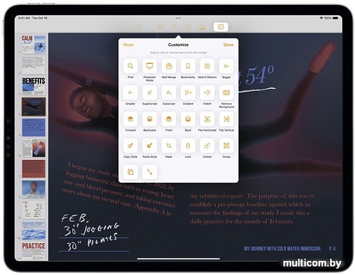 Планшет Apple iPad Pro 11" 2022 256GB (серебристый)