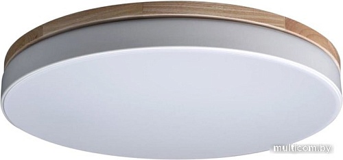 Люстра-тарелка LOFT IT Axel 10001/36 White