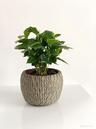 Кашпо Polnix 05.229.09 (серый)