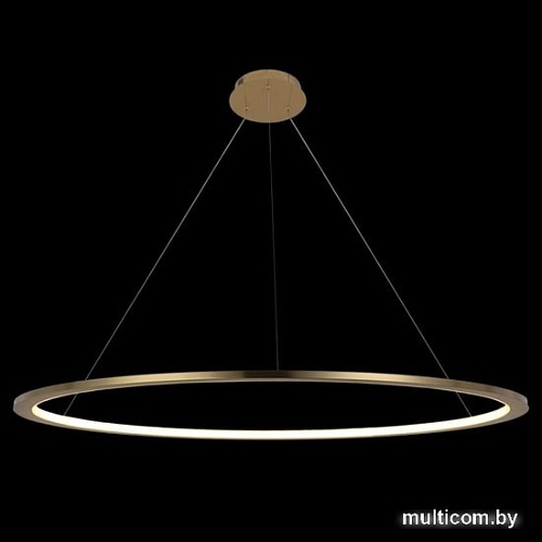 Подвесная люстра LOFT IT Ring 10014XXL