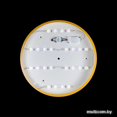 Люстра-тарелка LOFT IT Axel 10002/24 Yellow