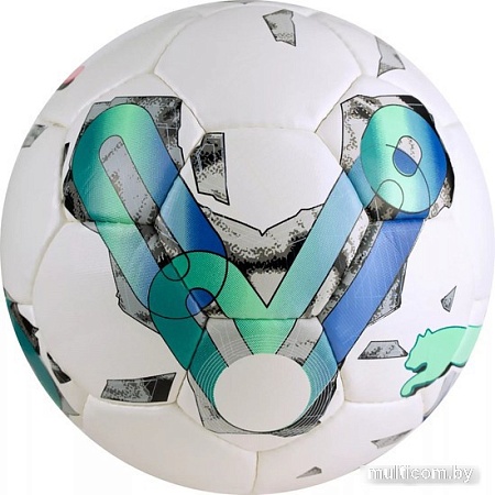 Футбольный мяч Puma Orbita 5 HS 08378601 (5 размер)