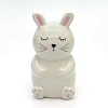 Копилка для денег ILikeGift Sleepy bunny FC191121 (белый)