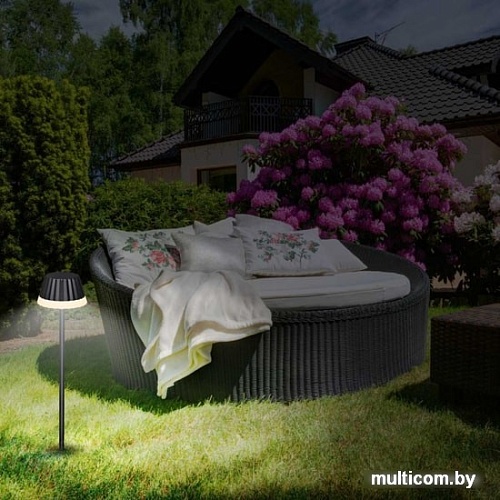 Novotech Gonna 358458