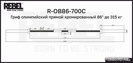 Гриф для штанги Rebel R-OB86-700C