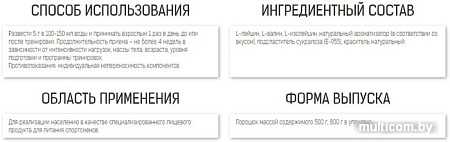 Аминокислоты Binasport BCAA (500г, апельсин)