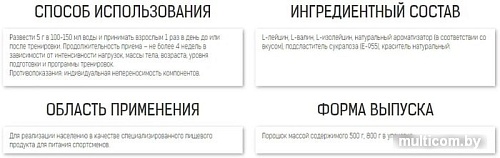 Аминокислоты Binasport BCAA (500г, апельсин)