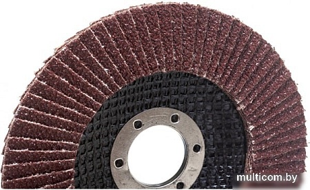 Шлифовальный круг Targ 663401