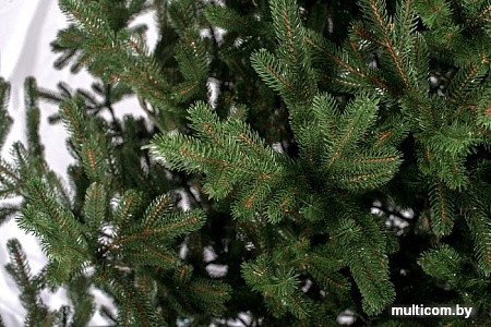 Ель Siga Group Венская зеленая 2.1 м