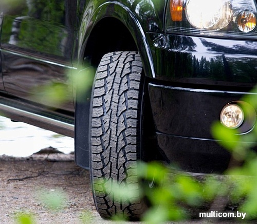 Автомобильные шины Nokian Rotiiva AT 275/60R20 115H