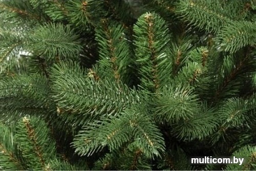 Ель Царь Елка Амурская премиум 1.85 м