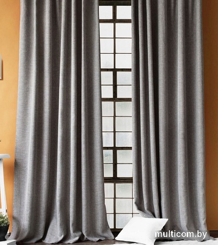 Комплект штор Pasionaria Бадди 280x230 (2 шт, темно-серый)