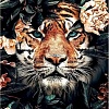 Алмазная мозаика Darvish Тигр в цветах DV-9512-7