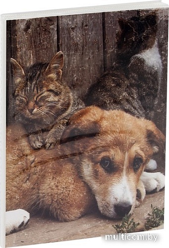 Фотоальбом ArtSpace Friends PA-22334 