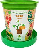 Набор для опытов Happy plant Тыква медовая hpn-34
