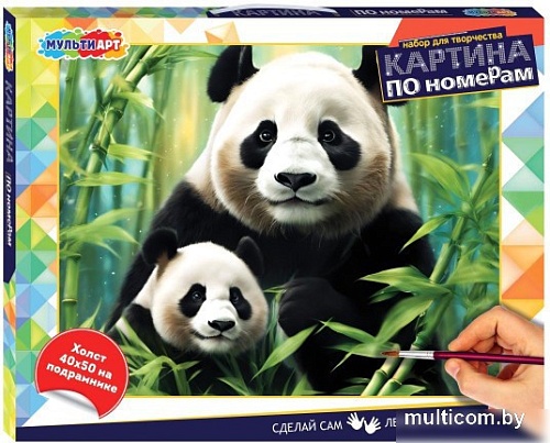 Картина по номерам MultiArt CANV40X50-115972