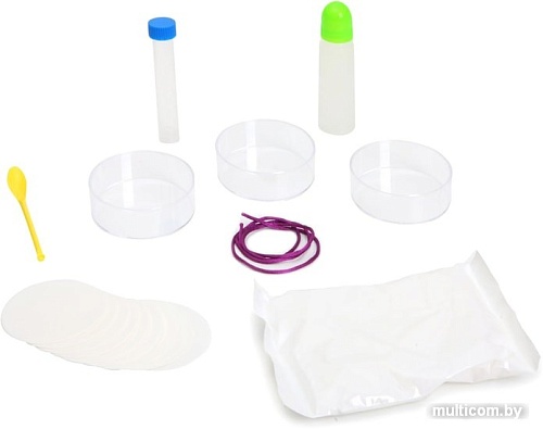 Набор для опытов Bondibon Науки с Буки Выращиваем кристаллы ВВ1184