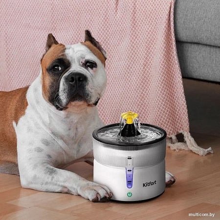 Фонтанчик Kitfort KT-6244