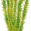 Искусственное растение Laguna Амбулия жёлто-зеленая 2956 30 см