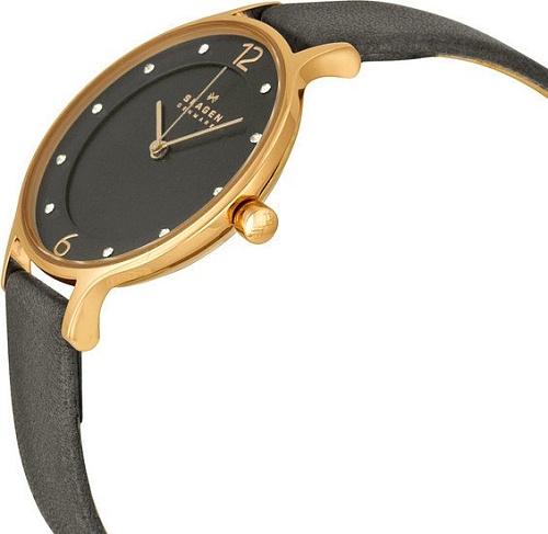 Наручные часы Skagen SKW2267