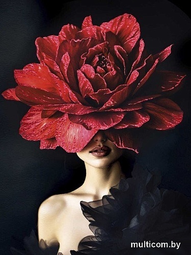 Картина по номерам Феникс+ Роскошная роза 70180