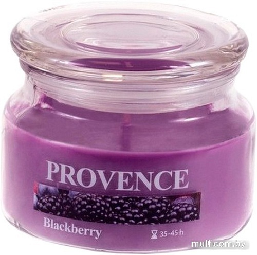 Ароматизированая свеча Provence 565110 (ежевика)