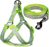 Шлея с поводком Triol Одуванчики-2 31491022 (S, серый/зеленый)