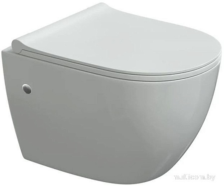Унитаз подвесной Berges Wasserhaus 042445 (с сиденьем)