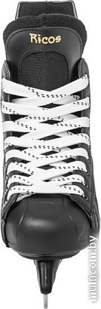 Хоккейные коньки Ricos Eagle PW-206AJ (р.44, черный)