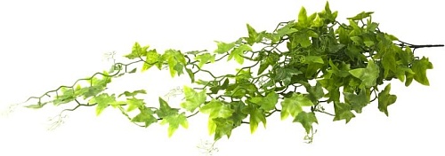 Искусственное растение Lucky Reptile Ivy Bush LP-62