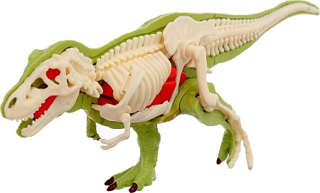 Набор для опытов Эврики Диномир. Тираннозавр. Строение тела динозавра 301 10179823