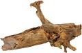 Декорация AquaEl Mangrove Root M 25-45 см