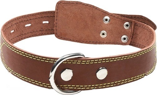 Ошейник Gamma Кожаный c кольцом 11232025