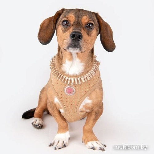 Шлейка-жилетка Pinkaholic Mila NAWA-HA7717-BE-S (бежевый)