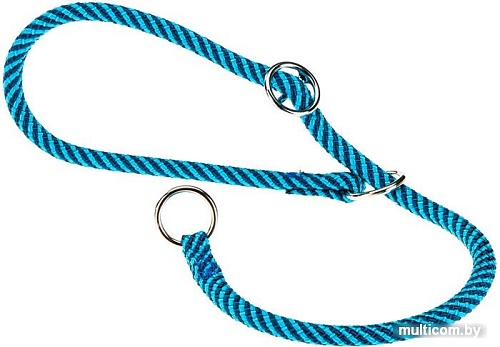 Ошейник-удавка Ferplast Sport Extreme CS8/60 77255515 (черный/синий)