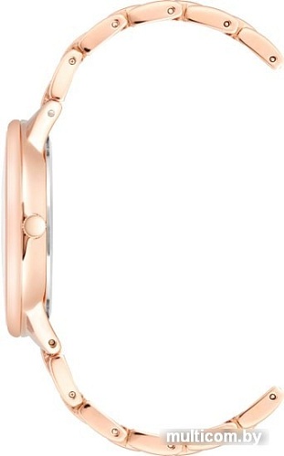 Наручные часы Anne Klein 3876GNRG