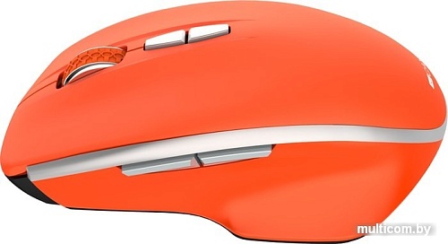 Мышь Canyon MW-21 (огненно-красный)