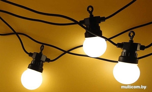 Гирлянда Neon-night Лофт 20 матовых ламп x 5 LED 331-356 (теплый белый)